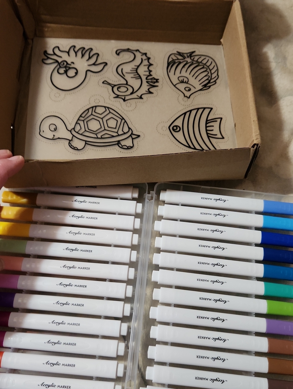 Acrylic Marker Art Set
